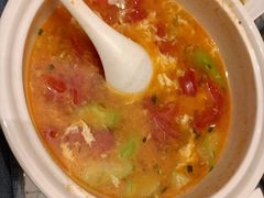 -泰康之家·申园