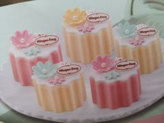 -哈根达斯(宁波和义店)