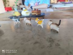 -Tian品