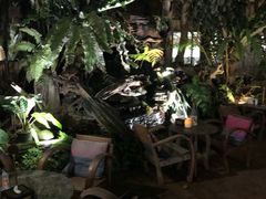 -Fern Forest Cafe