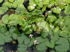 -南通博物苑-崇川人民公园