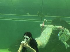 -苏州海洋馆