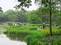 -西溪国家湿地公园