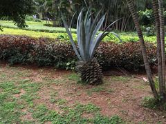 -白沙门生态公园