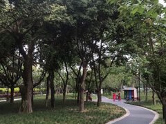 -神仙树公园