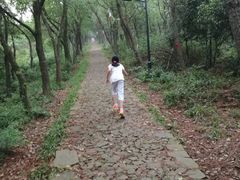 -雨花胜境