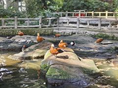 -南宫五洲植物乐园