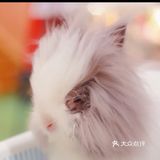 带孩子来体验一次宠物互动体验馆。
