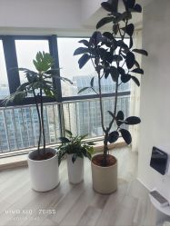 -HEYAN荷妍专业脱毛连锁机构
