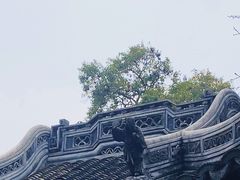 -豫园