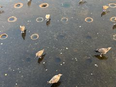 -星海广场