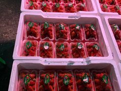 -菜园坝水果市场