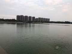 -映月湖中央公园