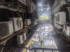 -珍妮曲奇聪明小熊(尖沙咀店)