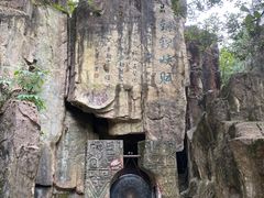 -铁山坪森林公园