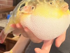 -永安鱼庄·镇江菜(丁卯店)