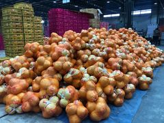 -沈阳市八家子水果批发市场