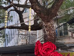 -溪岸路花鸟市场