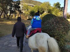 -锦园餐厅(九龙湖开元度假村店)