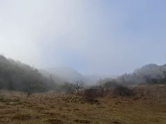 -武陵山森林公园