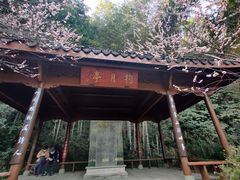 -杭州植物园