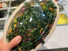 -油梨树AVOCADO TREE(嘉里中心店)