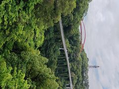-金鸡山公园