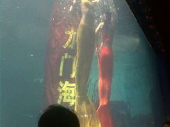 -洛阳龙门海洋馆