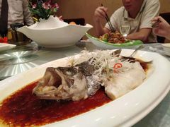 -天禄华美达广场酒店-雅兰轩中餐厅(青年路店)