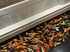 -龙悦湾酒家·八阵鱼生·渔人码头店