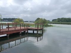 -贡湖湾湿地公园