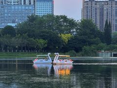 -南宁南湖公园