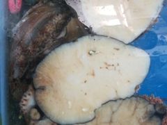 -宾朋海鲜特色美食餐厅·纯手工鲅鱼水饺(兴海路店)