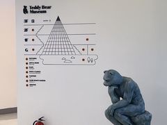 -济州岛泰迪熊博物馆