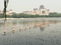 -莲花池公园