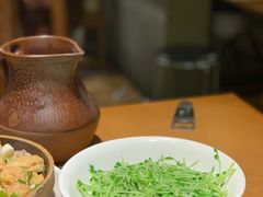 豆苗-细毛私家菜总店