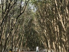 -艾溪湖湿地公园