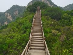 -大岭沟猕猴桃谷风景区