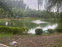 -中卫御苑福膳·养生局(圆明园店)