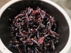 -食家鸽园