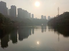 -重庆彩云湖湿地公园