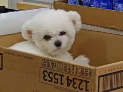 -佳雯宠物医院·皮肤科·内外科(春晓路分院)