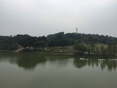 -东莞植物园