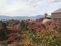 -有栖山 清光院 清水寺