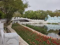 -北陵公园
