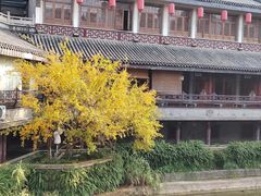 -龙潭水乡