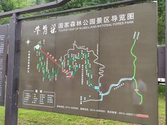 -牛背梁国家森林公园