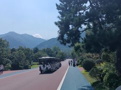 -西安秦岭野生动物园