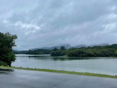 -佛手湖郊野公园