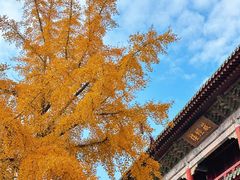 -湛山寺